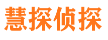 大名市侦探公司